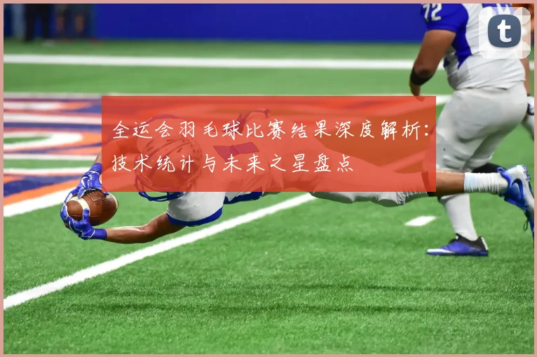 全运会羽毛球比赛结果深度解析：技术统计与未来之星盘点