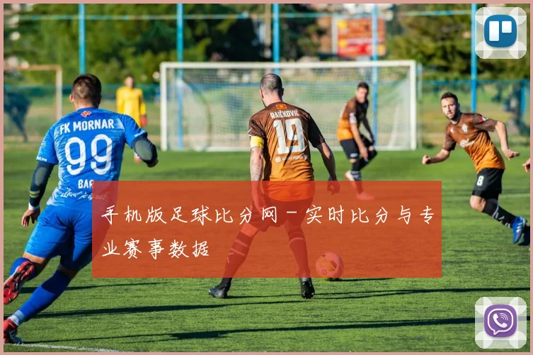 手机版足球比分网 - 实时比分与专业赛事数据