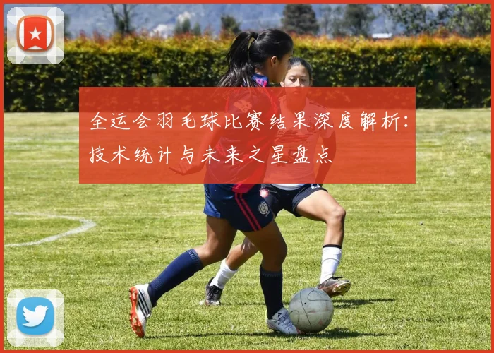 全运会羽毛球比赛结果深度解析：技术统计与未来之星盘点