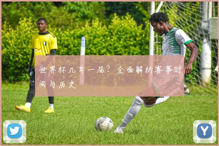 世界杯几年一届？全面解析赛事时间与历史